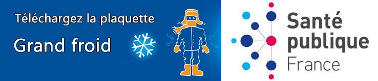 grand froid copie