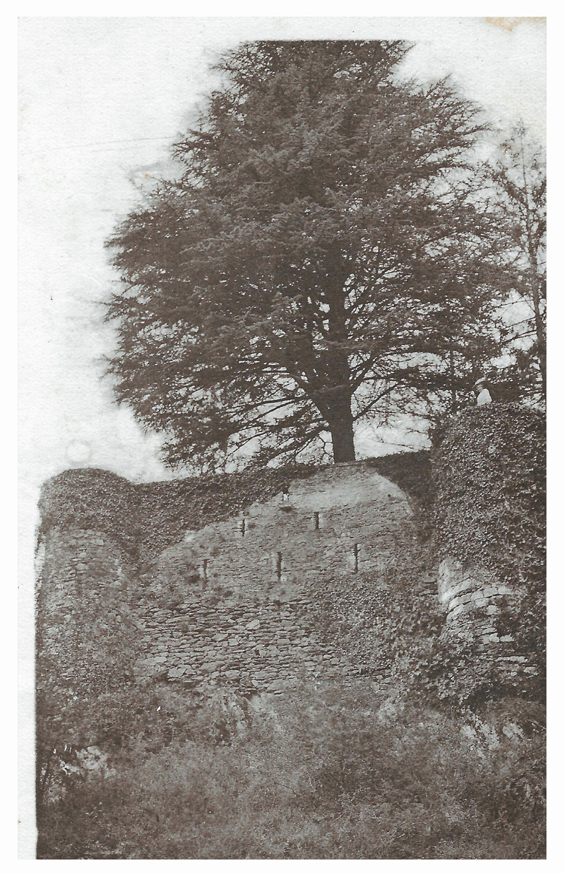 carte postale ancienne