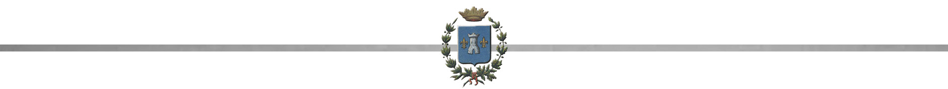 Séparateur 2 gris copie